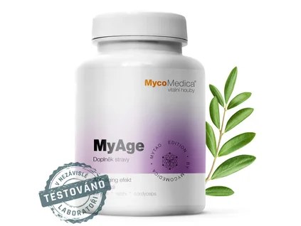myage detail s razitkem kopie.1025759333