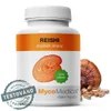 reishi detail s razitkem 3.1025759333